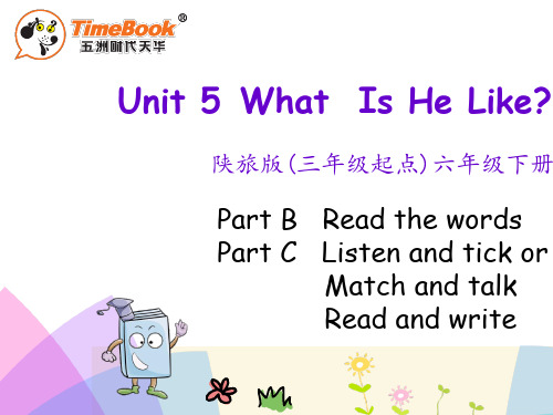 陕西旅游版六年级英语下册Unit 5 What Is He Like课件(4)全面版