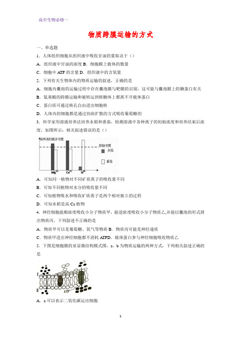 高中生物必修1课时作业30：4.3 物质跨膜运输的方式