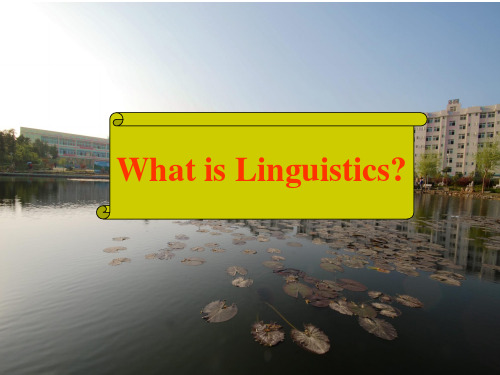 语言学linguistic