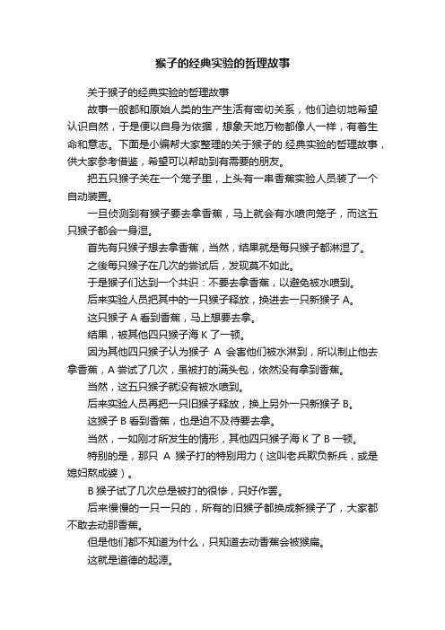 关于猴子的经典实验的哲理故事