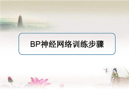 BP神经网络训练过程