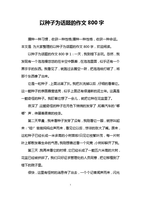 以种子为话题的作文800字