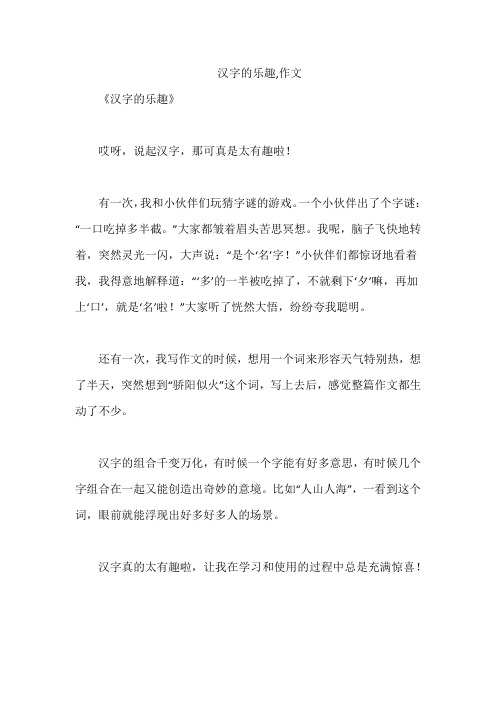 汉字的乐趣,作文