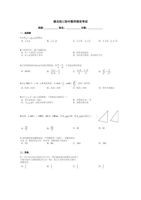 湖北初三初中数学期末考试带答案解析
