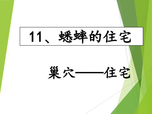 四年级上册语文课件蟋蟀的住宅 人教部编版(共33张PPT)