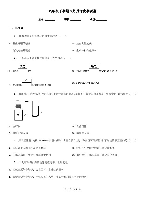 九年级下学期3月月考化学试题