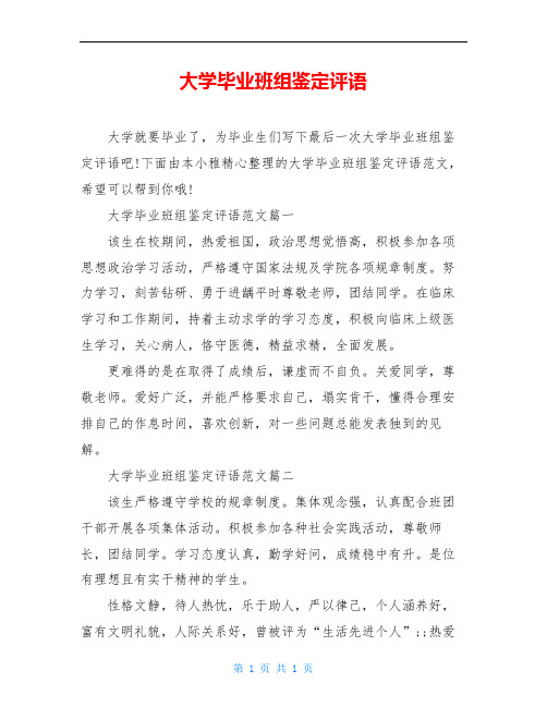 大学毕业班组鉴定评语