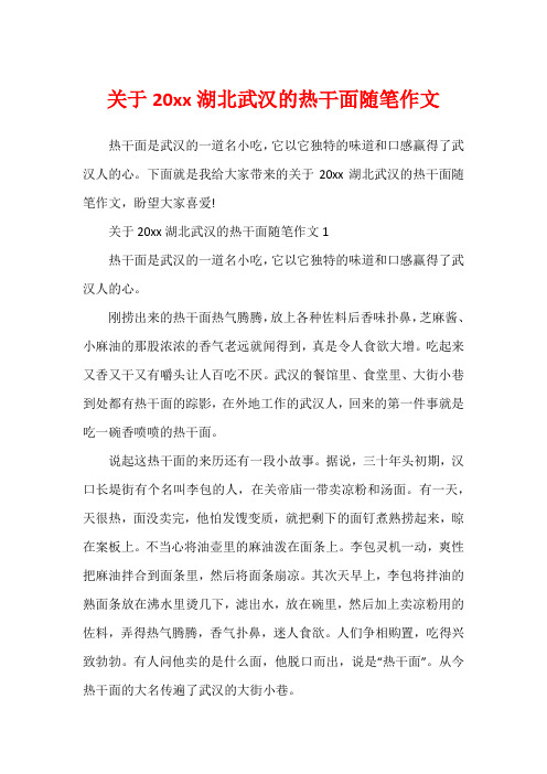 关于20xx湖北武汉的热干面随笔作文