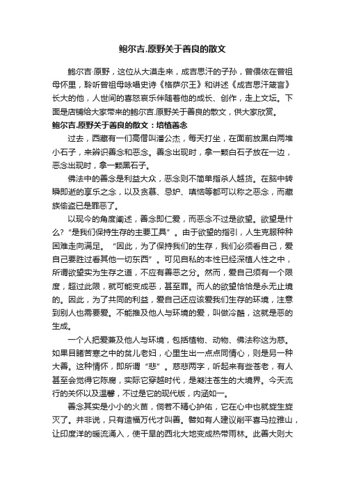 鲍尔吉.原野关于善良的散文