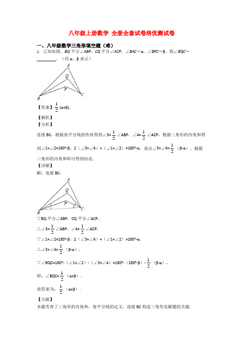 八年级上册数学 全册全套试卷培优测试卷