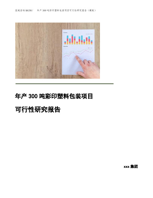 年产300吨彩印塑料包装项目可行性研究报告(模板)