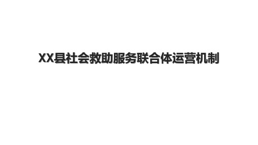 XX县社会救助服务联合体运营机制