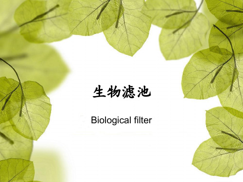 生物滤池