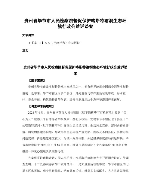 贵州省毕节市人民检察院督促保护喀斯特溶洞生态环境行政公益诉讼案