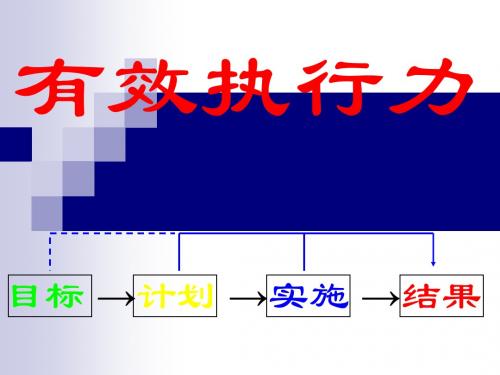 有效执行力