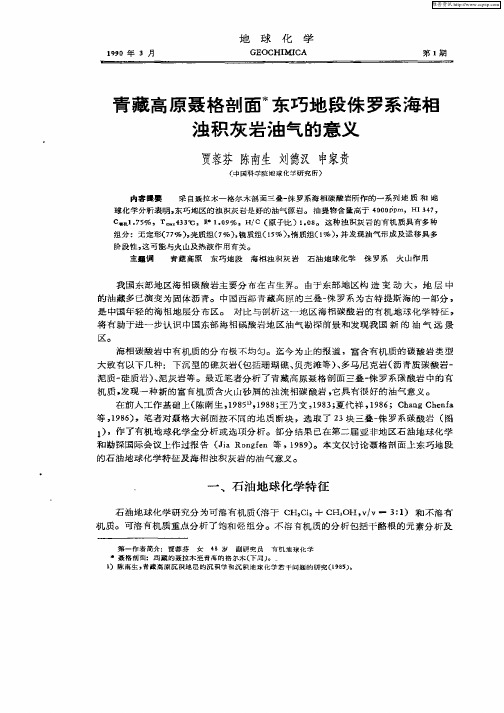 青藏高原聂格剖面东巧地段侏罗系海相浊积灰岩油气的意义