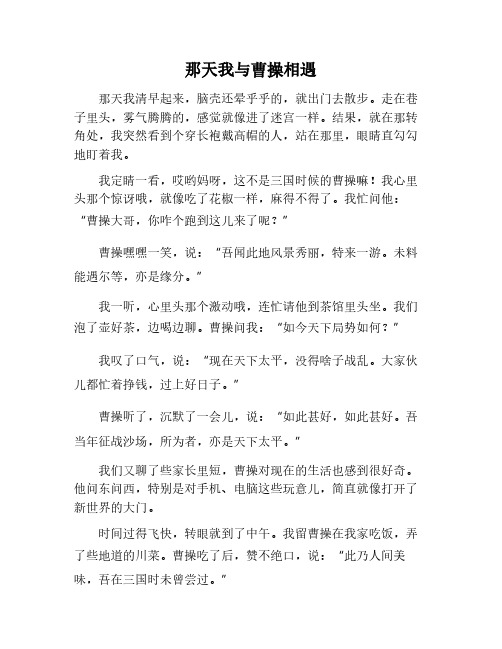 那天我与曹操相遇作文600字