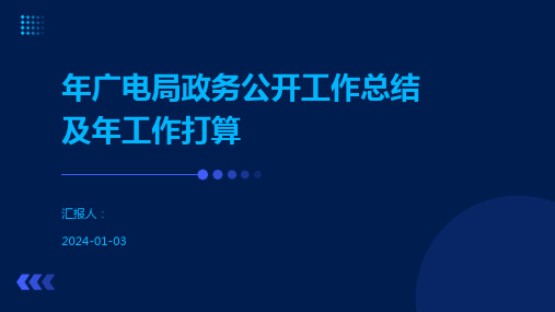 年广电局政务公开工作总结及年工作打算