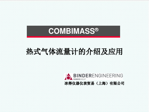 推荐-COMBIMASS气体流量计sales 精品