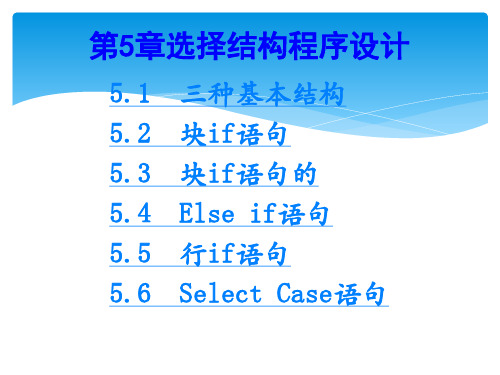 二级VB 第5章选择