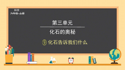 苏教版科学六年级上册3.9《化石告诉我们什么》课件