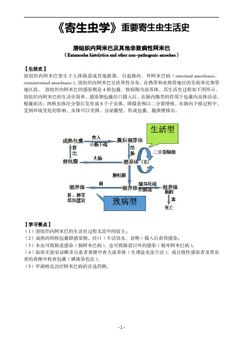 医学寄生虫学 《寄生虫学》重要寄生虫生活史