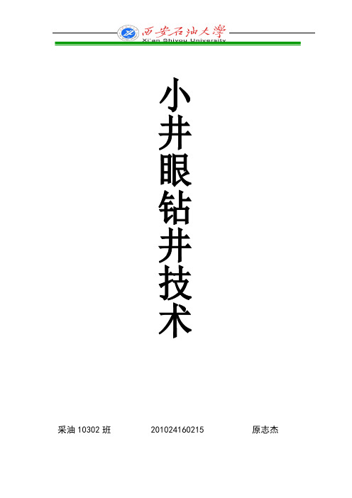 国内外小井眼钻井技术