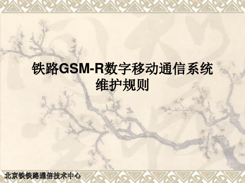 铁路GSM-R系统维护规则讲稿