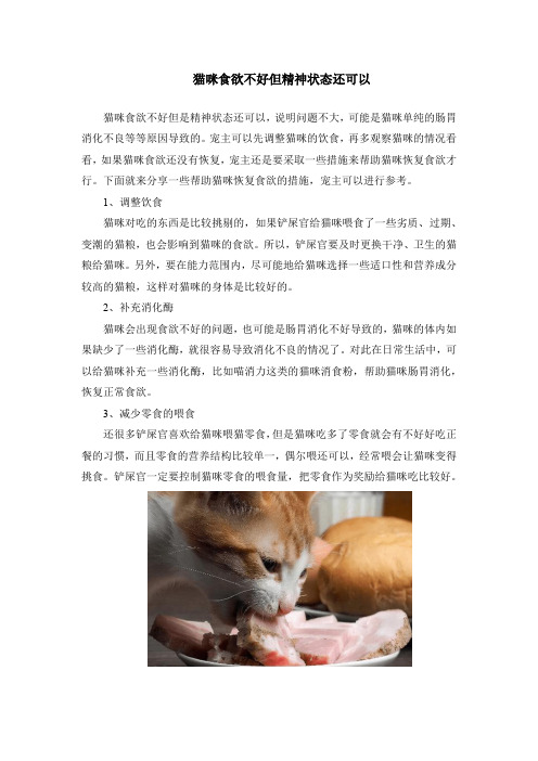 猫咪食欲不好但精神状态还可以