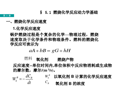 第5章 锅炉燃烧原理及燃烧系统