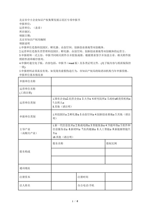 市中小企业知识产权集聚发展示范区专项申报书[001]