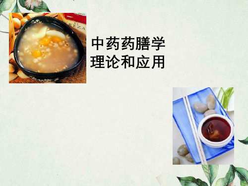 中药药膳学理论与应用