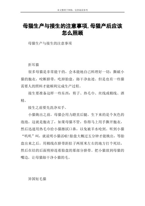 母猫生产与接生的注意事项,母猫产后应该怎么照顾_1