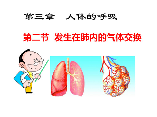 人教版七年级下册第三章第二节 发生在肺内的气体交换 课件(37张PPT)