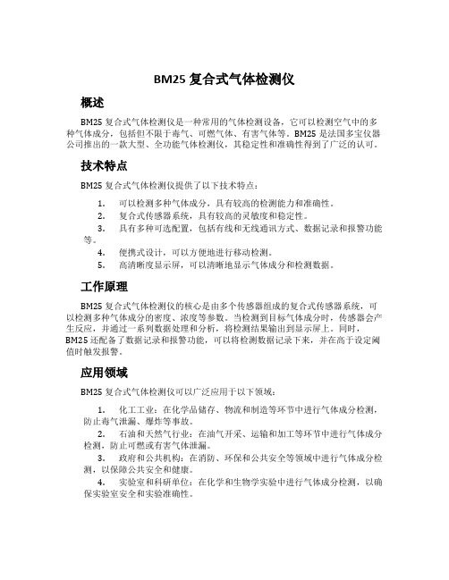 BM25 复合式气体检测仪