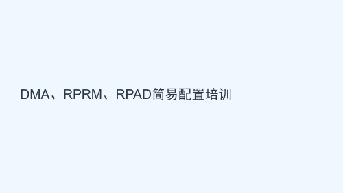 DMARPRMRPAD简易配置操作手册