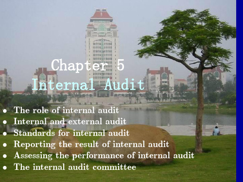 chapter 5 Internal audit