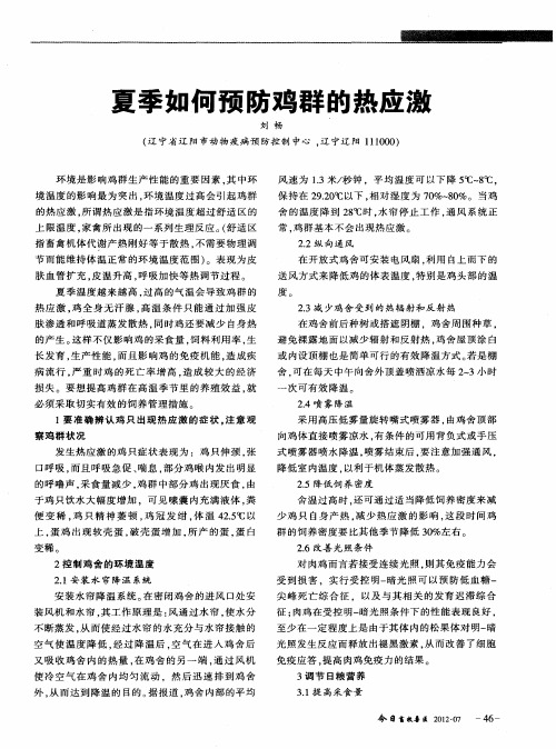 夏季如何预防鸡群的热应激