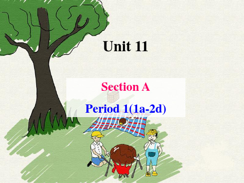 英语七年级下人教版Unit11 Section A 1a—2c课件(28张)