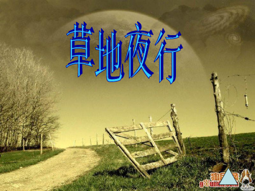 《草地夜行》课件