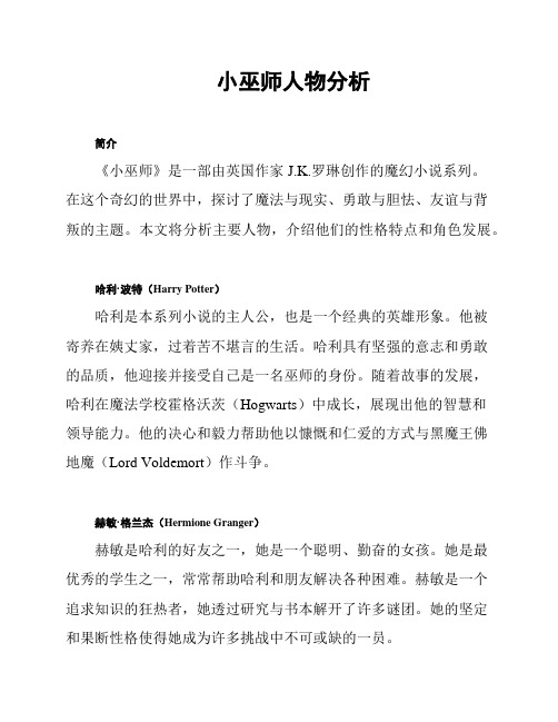 小巫师人物分析