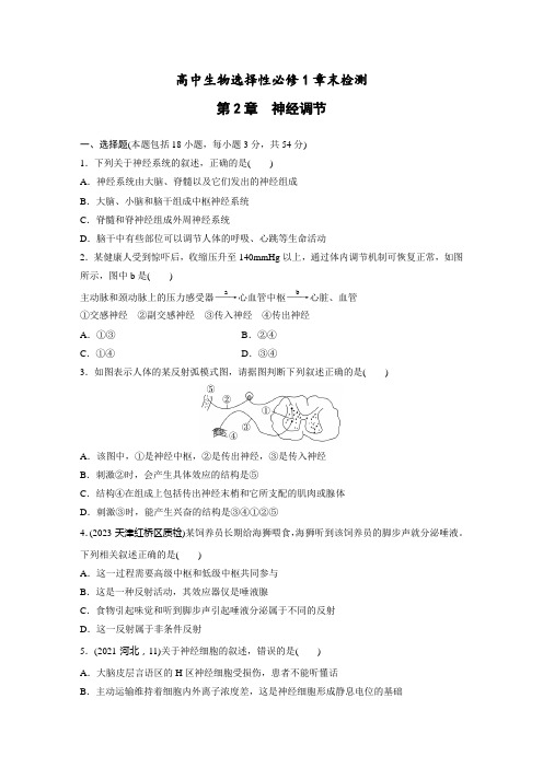 高中生物选择性必修1章末检测  第2章 神经调节