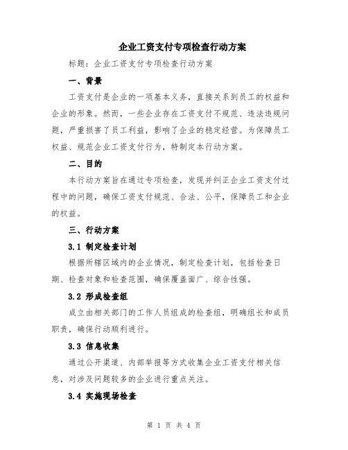 企业工资支付专项检查行动方案