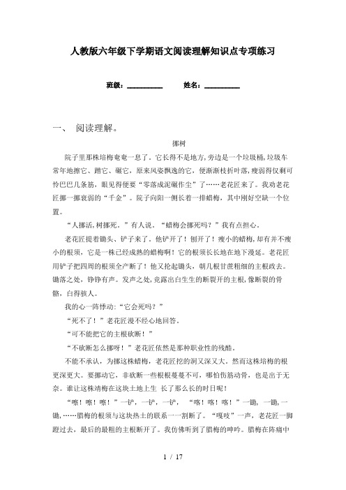 人教版六年级下学期语文阅读理解知识点专项练习