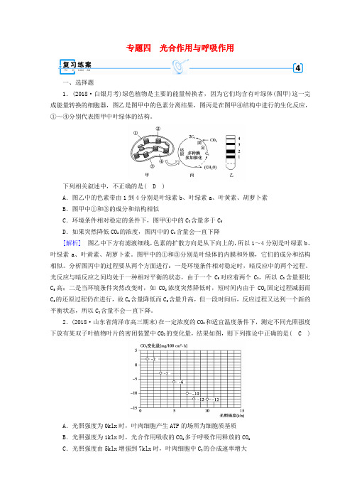 2019高考生物大二轮复习专题四光合作用与呼吸作用练案4