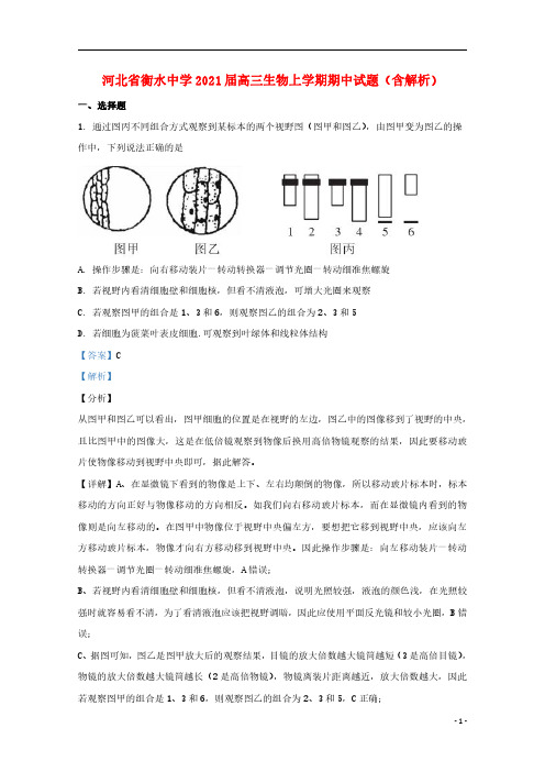 河北省衡水中学2021届高三生物上学期期中试题含解析