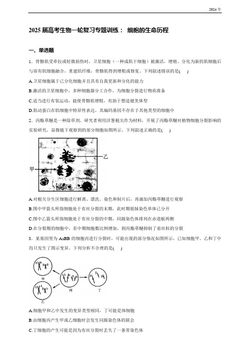 【备考2025】高中生物一轮复习专题训练：细胞的生命历程(含答案)