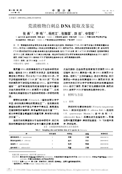 荒漠植物白刺总DNA提取及鉴定