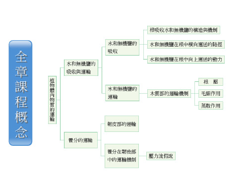 水与无机盐类的吸收与运输 (2)