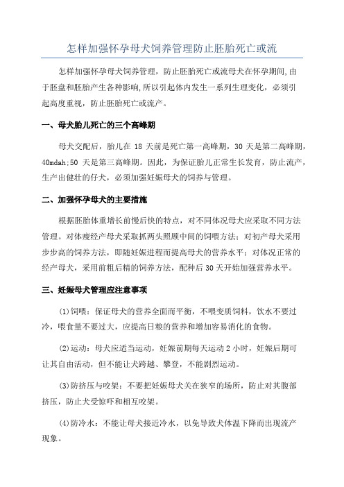 怎样加强怀孕母犬饲养管理防止胚胎死亡或流